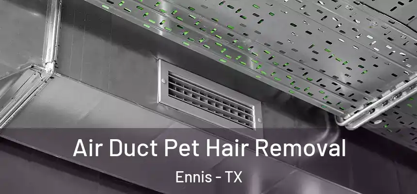 Air Duct Pet Hair Removal Ennis - TX
