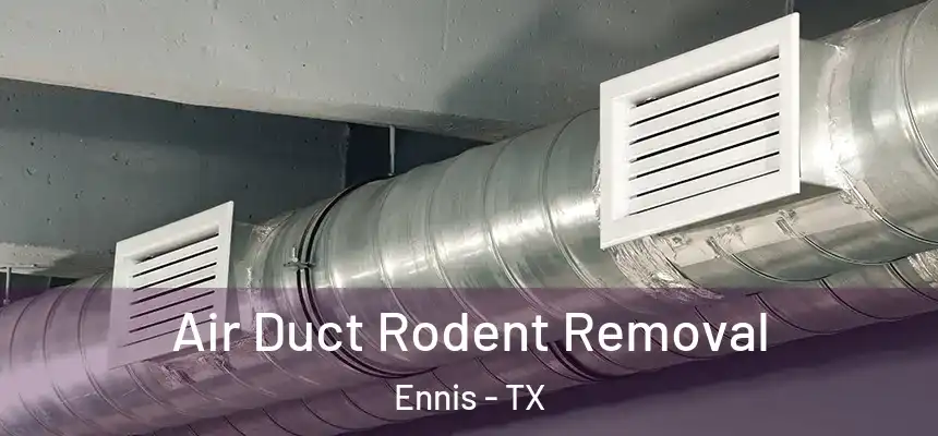 Air Duct Rodent Removal Ennis - TX