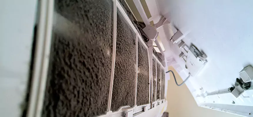 Preventive Air Duct Bacteria Removal in Ennis