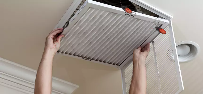 Preventive Cockroach-Proofing for Ducts in Ennis