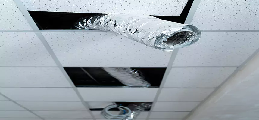 Our Air Duct Pet Hair Removal Services in Ennis, TX