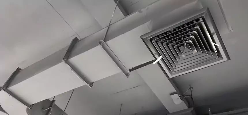 Restorative Allergy Relief Vent Cleaning – Coil, Blower & Housing Detail in Ennis