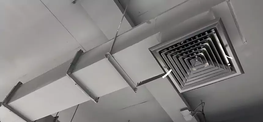 Our Rodent Droppings In Vents Services in Ennis, TX