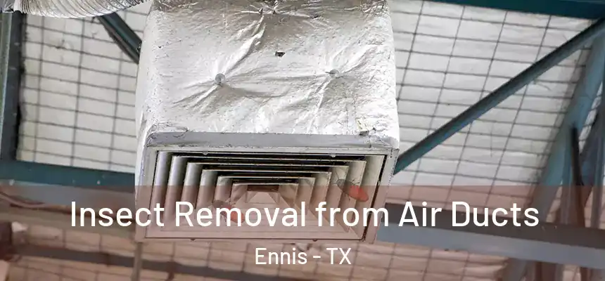  Insect Removal from Air Ducts Ennis - TX