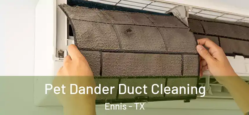 Pet Dander Duct Cleaning Ennis - TX