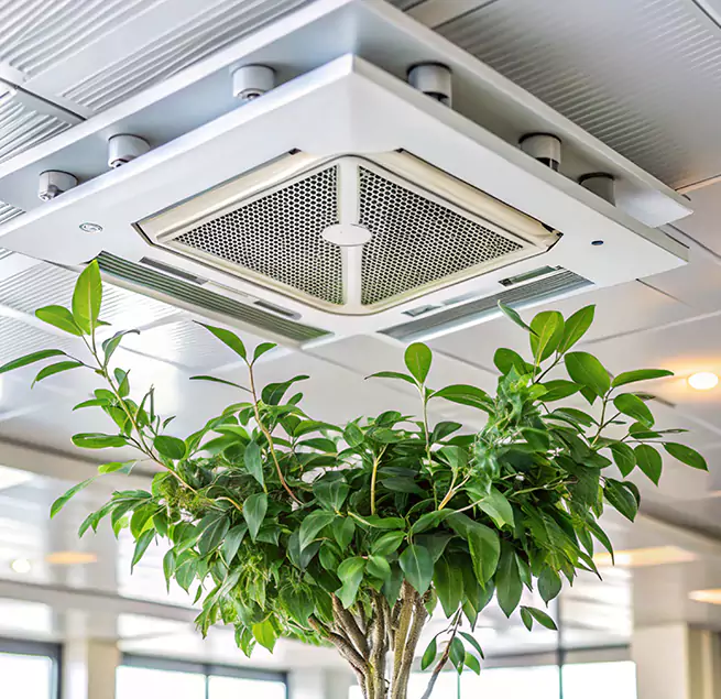 Why Homeowners & Businesses Trust Us in Ennis, TX?